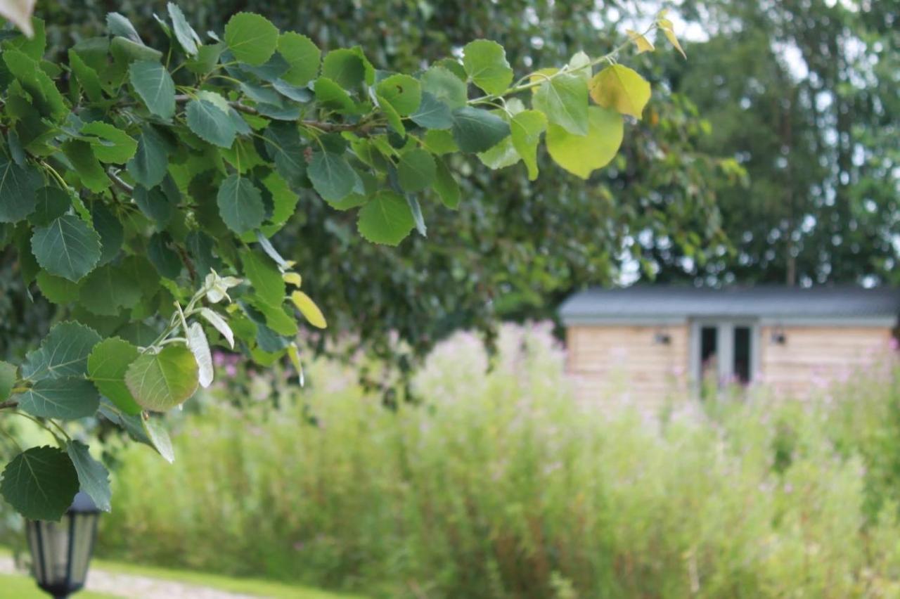 יורק Luxury Shepherds Hut - The Moorhen By The Lake מראה חיצוני תמונה